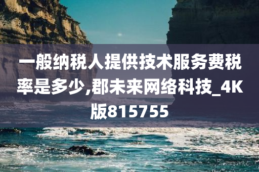 一般纳税人提供技术服务费税率是多少,郡未来网络科技_4K版815755