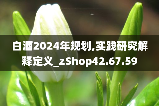 白酒2024年规划,实践研究解释定义_zShop42.67.59