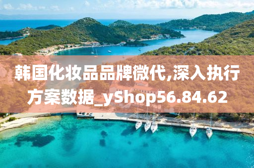 韩国化妆品品牌微代,深入执行方案数据_yShop56.84.62