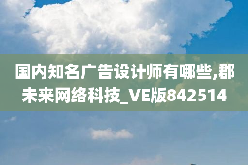 国内知名广告设计师有哪些,郡未来网络科技_VE版842514