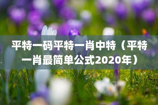 平特一码平特一肖中特（平特一肖最简单公式2020年）