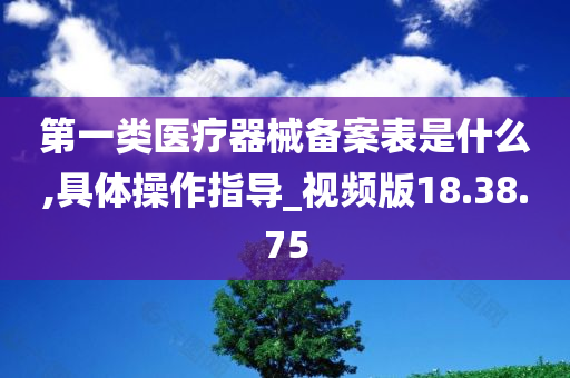 第一类医疗器械备案表是什么,具体操作指导_视频版18.38.75