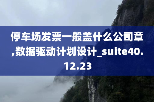 停车场发票一般盖什么公司章,数据驱动计划设计_suite40.12.23