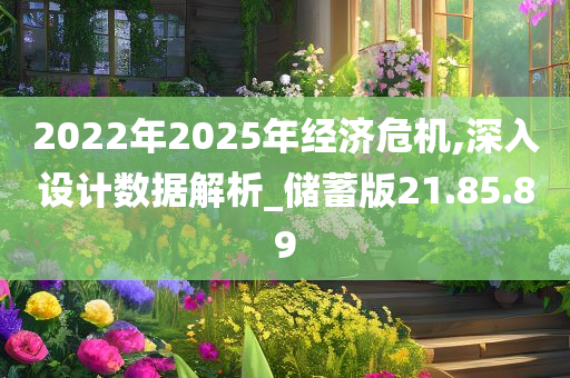 2022年2025年经济危机,深入设计数据解析_储蓄版21.85.89