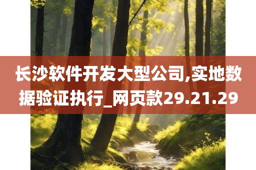 长沙软件开发大型公司,实地数据验证执行_网页款29.21.29