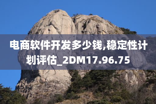 电商软件开发多少钱,稳定性计划评估_2DM17.96.75