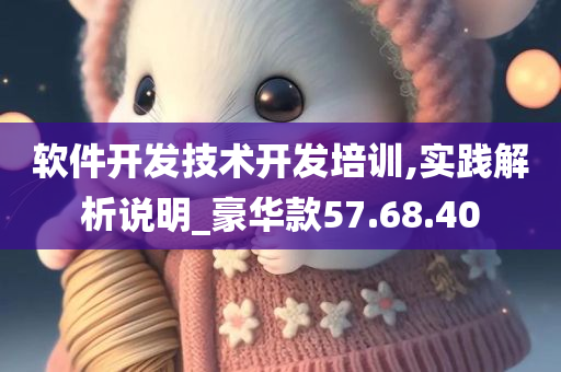 软件开发技术开发培训,实践解析说明_豪华款57.68.40