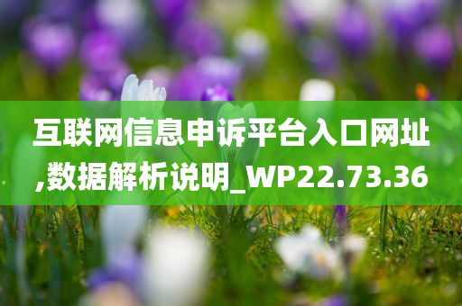 互联网信息申诉平台入口网址,数据解析说明_WP22.73.36