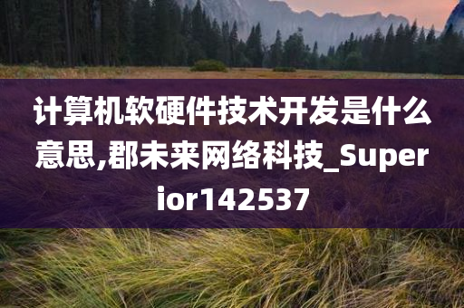 计算机软硬件技术开发是什么意思,郡未来网络科技_Superior142537