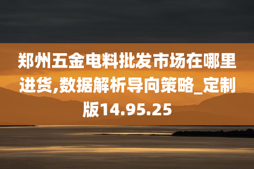 郑州五金电料批发市场在哪里进货,数据解析导向策略_定制版14.95.25