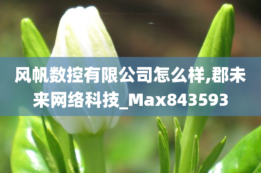 风帆数控有限公司怎么样,郡未来网络科技_Max843593