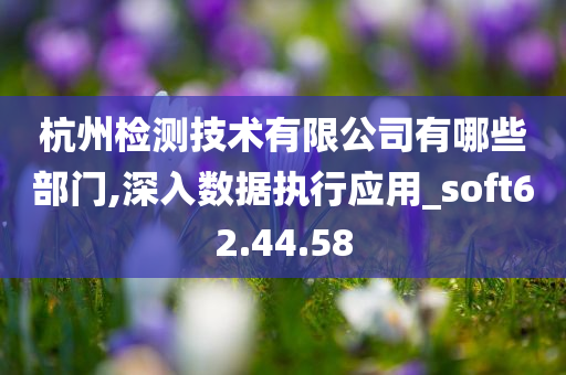 杭州检测技术有限公司有哪些部门,深入数据执行应用_soft62.44.58