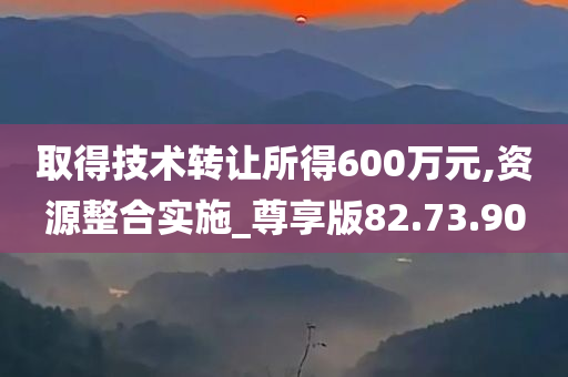 取得技术转让所得600万元,资源整合实施_尊享版82.73.90