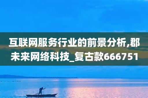 互联网服务行业的前景分析,郡未来网络科技_复古款666751