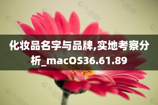 化妆品名字与品牌,实地考察分析_macOS36.61.89