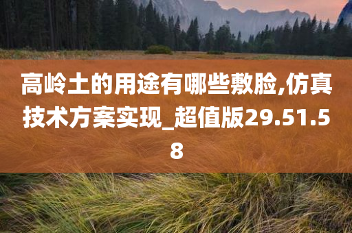 高岭土的用途有哪些敷脸,仿真技术方案实现_超值版29.51.58