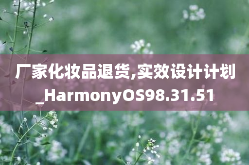 厂家化妆品退货,实效设计计划_HarmonyOS98.31.51