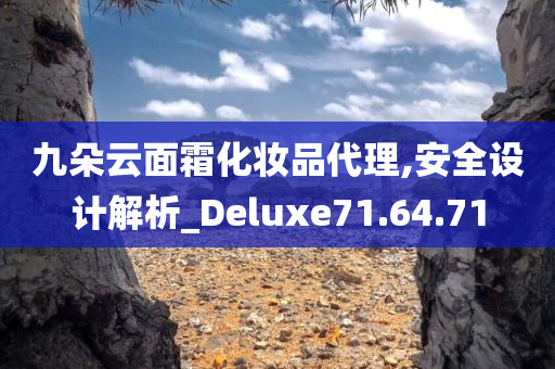 九朵云面霜化妆品代理,安全设计解析_Deluxe71.64.71