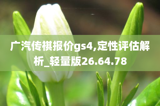 广汽传祺报价gs4,定性评估解析_轻量版26.64.78