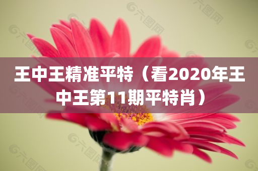 王中王精准平特（看2020年王中王第11期平特肖）