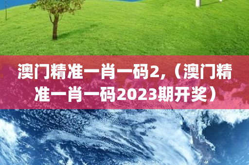 澳门精准一肖一码2,（澳门精准一肖一码2023期开奖）