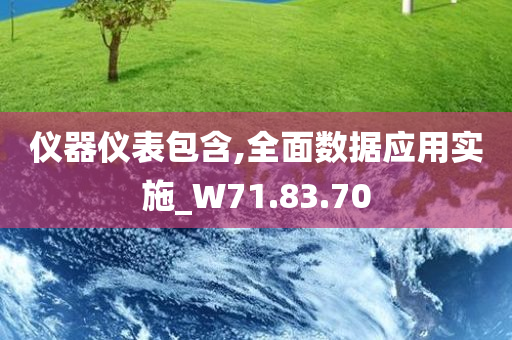 仪器仪表包含,全面数据应用实施_W71.83.70