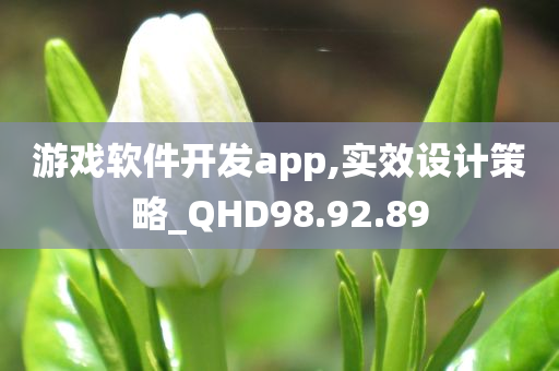 游戏软件开发app,实效设计策略_QHD98.92.89