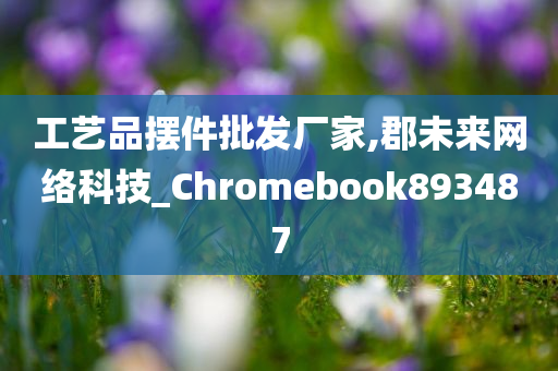 工艺品摆件批发厂家,郡未来网络科技_Chromebook893487