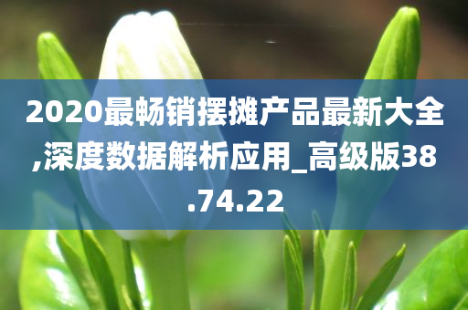 2020最畅销摆摊产品最新大全,深度数据解析应用_高级版38.74.22