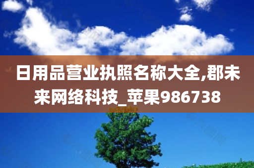 日用品营业执照名称大全,郡未来网络科技_苹果986738