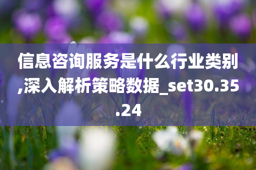 信息咨询服务是什么行业类别,深入解析策略数据_set30.35.24