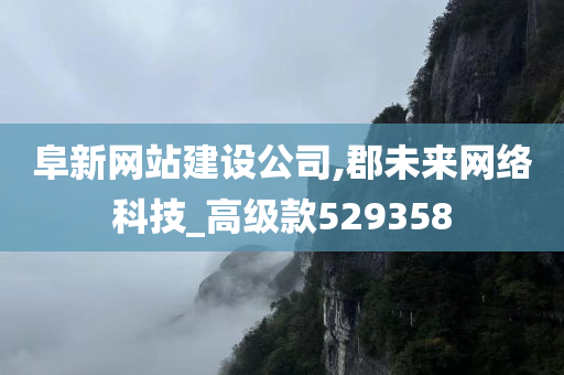 阜新网站建设公司,郡未来网络科技_高级款529358