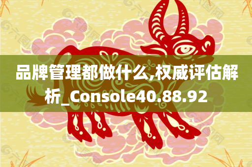 品牌管理都做什么,权威评估解析_Console40.88.92