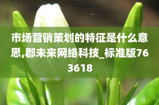 市场营销策划的特征是什么意思,郡未来网络科技_标准版763618