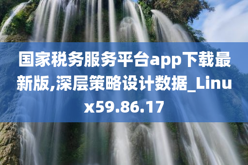 国家税务服务平台app下载最新版,深层策略设计数据_Linux59.86.17