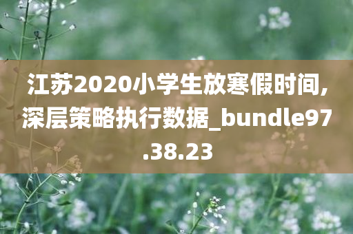 江苏2020小学生放寒假时间,深层策略执行数据_bundle97.38.23