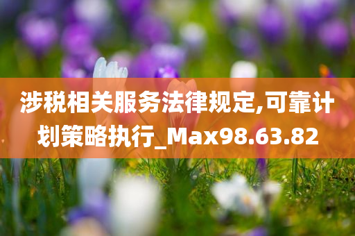 涉税相关服务法律规定,可靠计划策略执行_Max98.63.82