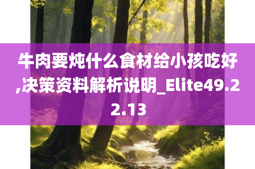 牛肉要炖什么食材给小孩吃好,决策资料解析说明_Elite49.22.13