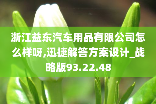 浙江益东汽车用品有限公司怎么样呀,迅捷解答方案设计_战略版93.22.48