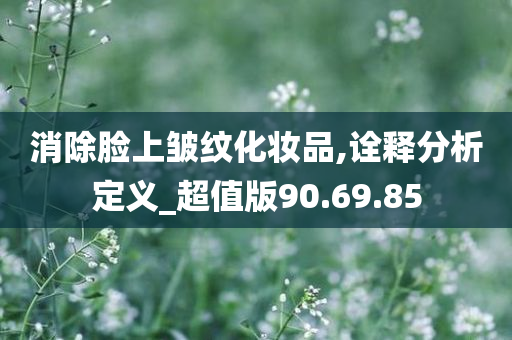 消除脸上皱纹化妆品,诠释分析定义_超值版90.69.85