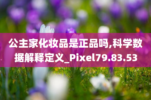 公主家化妆品是正品吗,科学数据解释定义_Pixel79.83.53