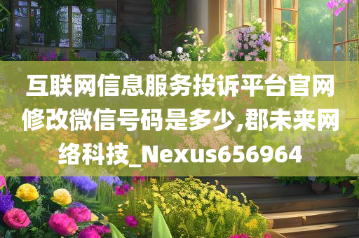 互联网信息服务投诉平台官网修改微信号码是多少,郡未来网络科技_Nexus656964