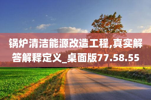 锅炉清洁能源改造工程,真实解答解释定义_桌面版77.58.55