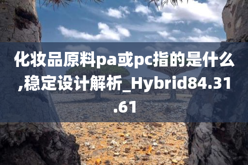 化妆品原料pa或pc指的是什么,稳定设计解析_Hybrid84.31.61