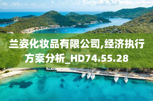 兰姿化妆品有限公司,经济执行方案分析_HD74.55.28