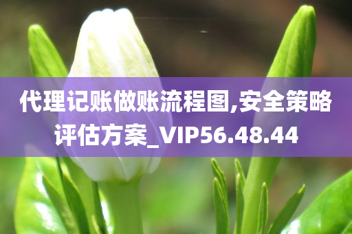 代理记账做账流程图,安全策略评估方案_VIP56.48.44