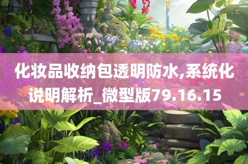 化妆品收纳包透明防水,系统化说明解析_微型版79.16.15