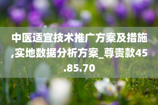 中医适宜技术推广方案及措施,实地数据分析方案_尊贵款45.85.70