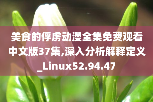 美食的俘虏动漫全集免费观看中文版37集,深入分析解释定义_Linux52.94.47