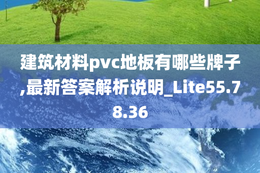 建筑材料pvc地板有哪些牌子,最新答案解析说明_Lite55.78.36